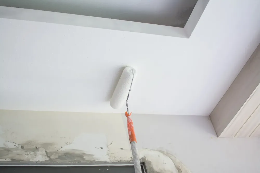peinture plafond
